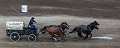 Stampede039