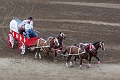 Stampede040