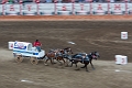 Stampede044