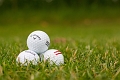 ASGGolf022