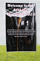 ASGGolf039