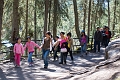BanffLakeLouise005
