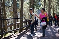 BanffLakeLouise006