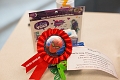 NerdOlympics007