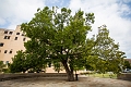 OKC058
