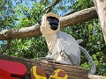 Legoland034