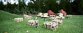 Legoland077