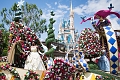 MagicKingdom042