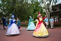 MagicKingdom055