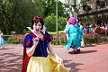 MagicKingdom062