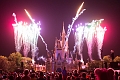 MagicKingdom101