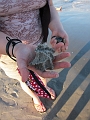 CocoaBeach020