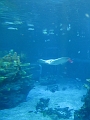 Epcot011