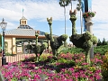 Epcot026