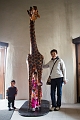 Zoo002