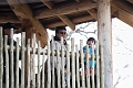 Zoo009