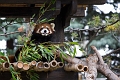 Zoo016