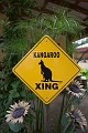 Kelowna016