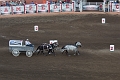 Stampede102_011