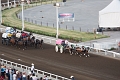 Stampede102_014