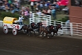 Stampede102_015