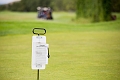 ASGGolf075