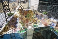 Barcelona098