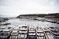 MonteCarlo008