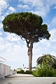 Capri034