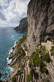 Capri056