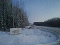 Jackfish030