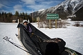 DogSledding003