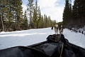 DogSledding010