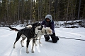 DogSledding021