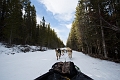 DogSledding025