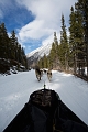 DogSledding034