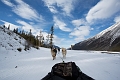 DogSledding035