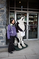 DogSledding046