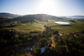 NapaValley016