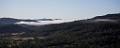 NapaValley018