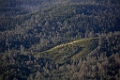 NapaValley034