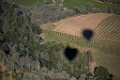 NapaValley035