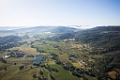 NapaValley040
