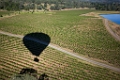NapaValley045
