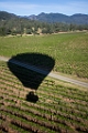 NapaValley046