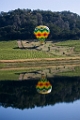 NapaValley050