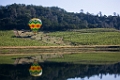 NapaValley052