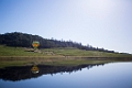 NapaValley056