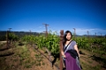 NapaValley062