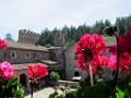 NapaValley077